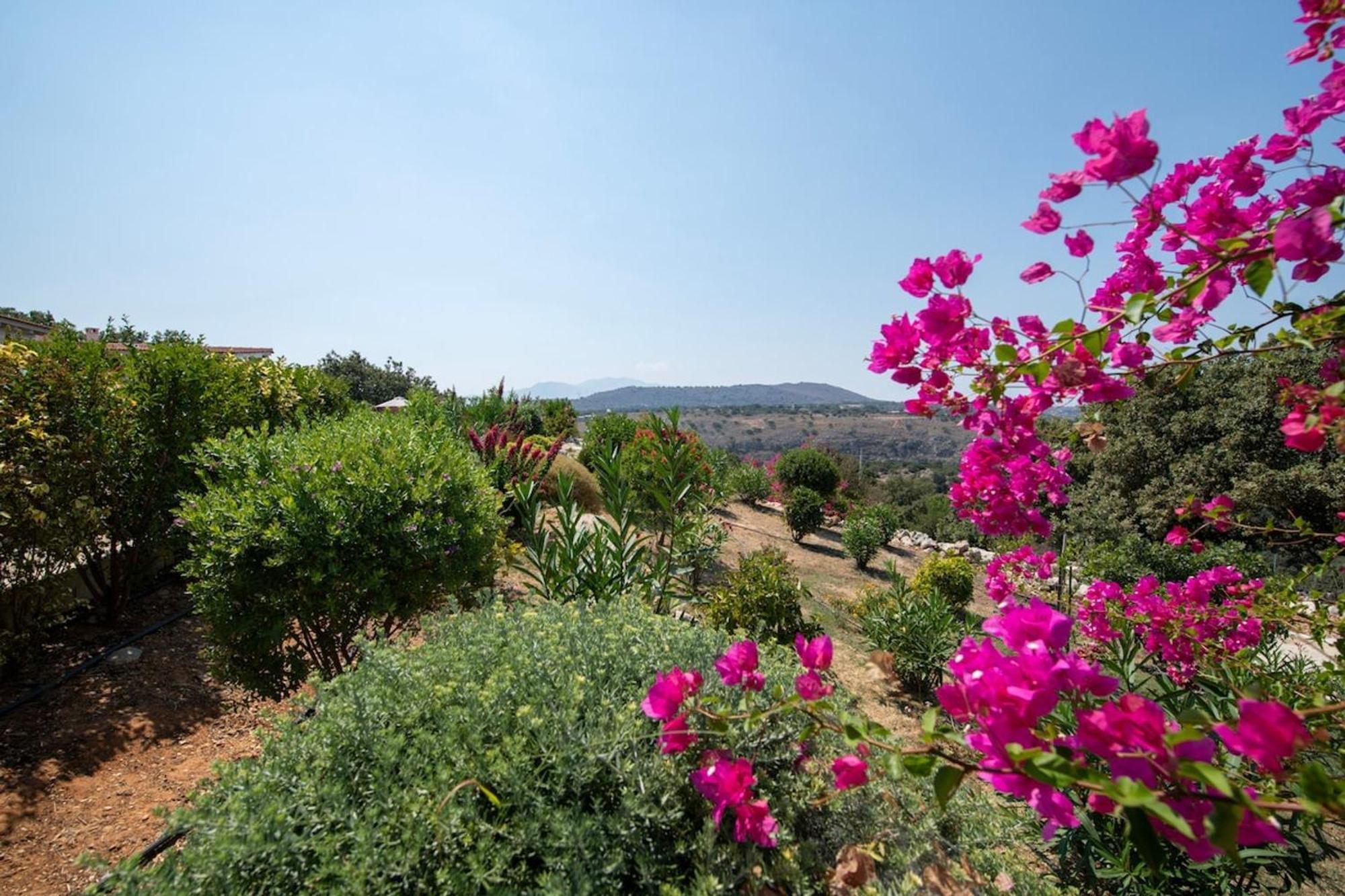 Pansaraexclusive Luxury Villa